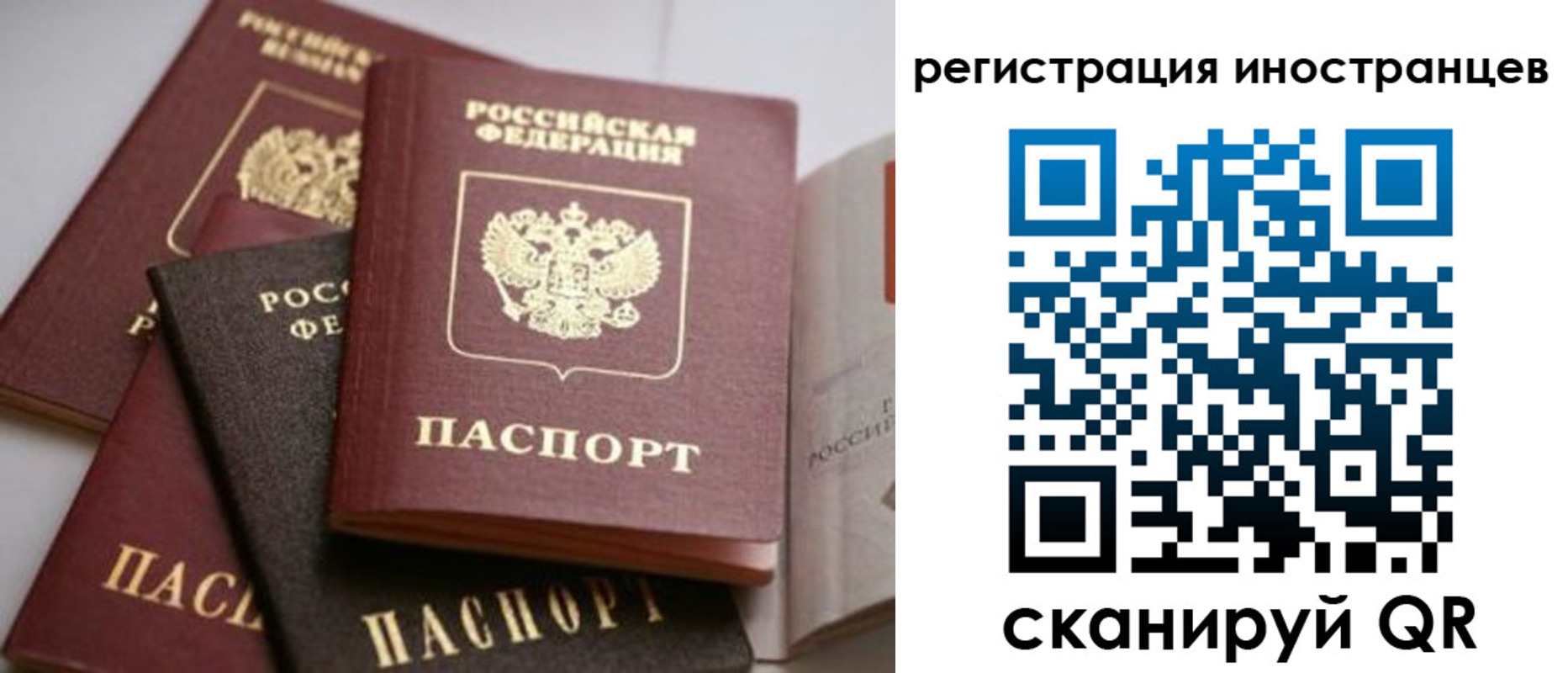 форма 3 в Новосибирской области